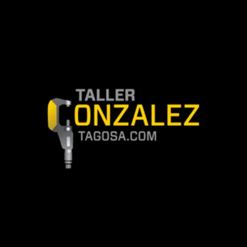 TALLER GONZÁLEZ S.A.